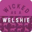 Gubblecote Wicked as a Welshie Coaster